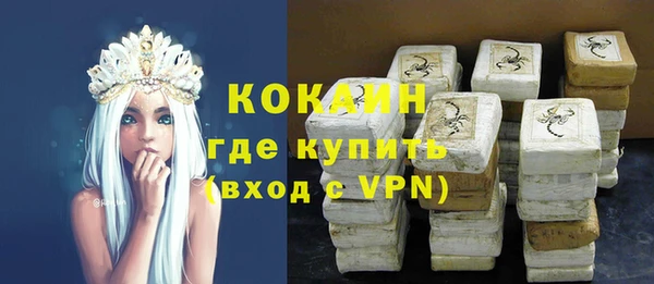 гидра Каменногорск