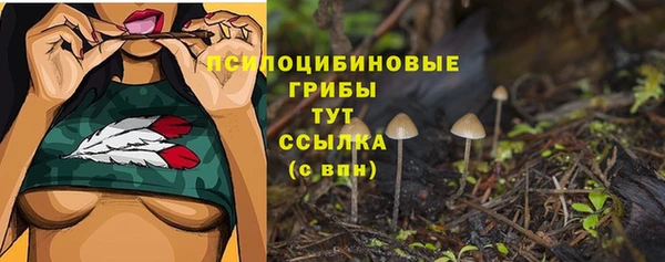 ALPHA PVP Надым