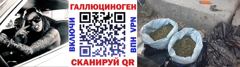 Галлюциногенные грибы мухоморы  наркотики  Кяхта 